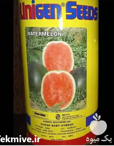 فروش بذر هندوانه یونی ژن کیفیت در اهواز در گروه خرید و فروش بذر هندوانه در یکمیوه -عکس1
