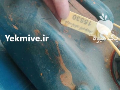 کود نانو محلول آهن در کرج در البرز در گروه خرید و فروش انواع کود کشاورزی در یکمیوه -عکس2