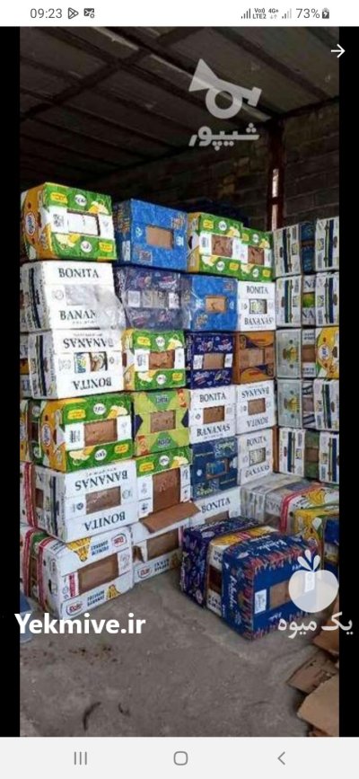 کارتن موز یا موزی تعداد بالا در گروه خرید و فروش انواع بسته بندی کارتن در یکمیوه -عکس1