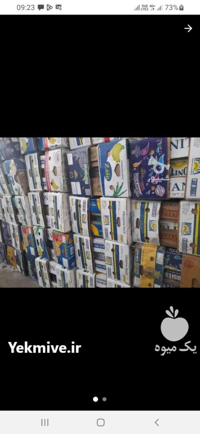 کارتن موز یا موزی تعداد بالا در گروه خرید و فروش انواع بسته بندی کارتن در یکمیوه -عکس2