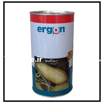 فروش بذر خربزه ارگون هلند MINOO در گروه خرید و فروش انواع بذر در یکمیوه -عکس1