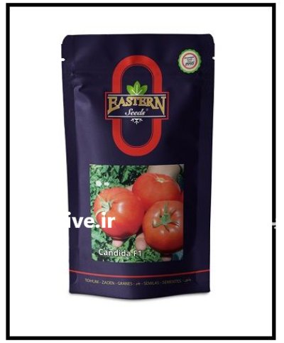 فروش بذر گوجه فرنگی فضای باز در اهواز در گروه خرید و فروش بذر گوجه در یکمیوه -عکس1