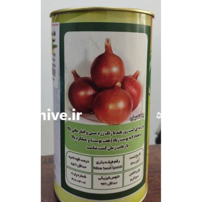 فروش بذر پیاز زرد روز بلند در شیراز در گروه خرید و فروش بذر پیاز در یکمیوه -عکس1