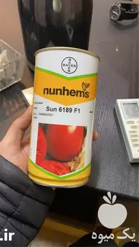 قیمت خرید بذر گوجه فرنگی سانسید 6189 در شیراز در گروه خرید و فروش بذر گوجه در یکمیوه -عکس1