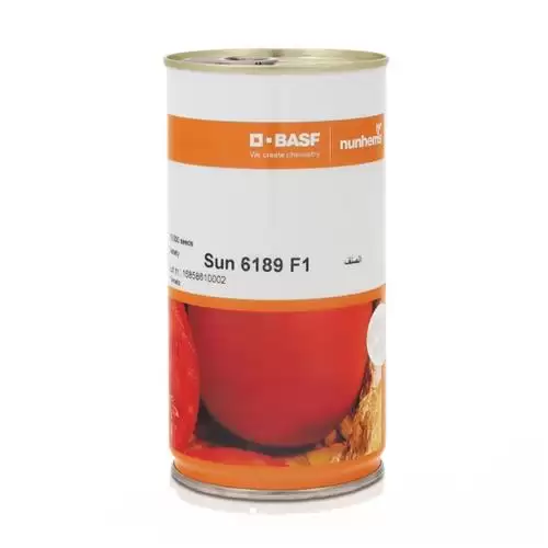 فروش بذر گوجه فرنگی سانسید 6189 در اهواز در گروه خرید و فروش بذر گوجه در یکمیوه -عکس1