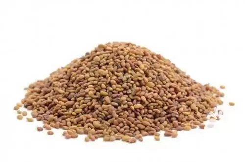 قیمت خرید بذر یونجه بغدادی در ایلام در گروه خرید و فروش بذر یونجه در یکمیوه -عکس1