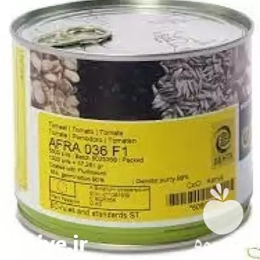 قیمت خرید بذر گوجه افرا در تبریز در گروه خرید و فروش بذر گوجه در یکمیوه -عکس1