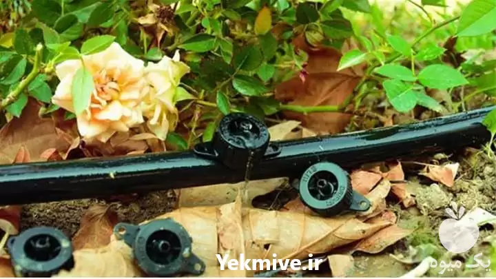 قیمت خرید ویژه قطره چکان لیتر در تهران در گروه خرید و فروش دستگاه آبیاری در یکمیوه -عکس1