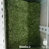 قیمت خرید سبزیجات خشک در بیرجند در گروه خرید و فروش گیاهان دارویی در یکمیوه