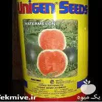 فروش بذر هندوانه یونی ژن کیفیت در اهواز در گروه خرید و فروش بذر هندوانه در یکمیوه