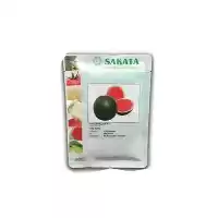 قیمت خرید بذر هندوانه شوگر بیبی در گروه خرید و فروش بذر هندوانه در یکمیوه