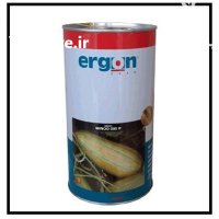 فروش بذر خربزه ارگون هلند MINOO در گروه خرید و فروش انواع بذر در یکمیوه