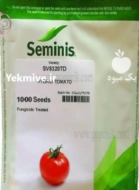 فروش بذر گوجه فرنگی زودرس 8320 در گروه خرید و فروش بذر گوجه در یکمیوه