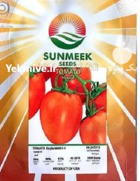 فروش بذر گوجه فرنگی کایلا 6699 در اهواز در گروه خرید و فروش بذر گوجه در یکمیوه