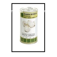 فروش بذر پیاز وایت گرانو روزن در شیراز در گروه خرید و فروش بذر پیاز در یکمیوه