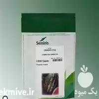 قیمت خرید بذر هندوانه بی 32 در یزد در گروه خرید و فروش بذر هندوانه در یکمیوه