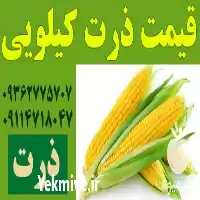 فروش قیمت ذرت کیلویی عادل در گرگان در گروه خرید و فروش ذرت در یکمیوه