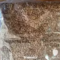 فروش عمده تخم کتان وارداتی مرغوب در تهران در گروه خرید و فروش دانه های روغنی در یکمیوه