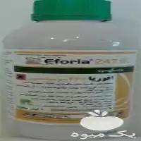 قیمت خرید ایفوریا در کرمان  در گروه خرید و فروش انواع سم در یکمیوه