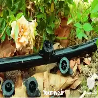 قیمت خرید ویژه قطره چکان لیتر در تهران در گروه خرید و فروش دستگاه آبیاری در یکمیوه