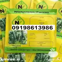 عرضه قیمت بذر خیار کیهان پر در اصفهان در گروه خرید و فروش بذر خیار در یکمیوه