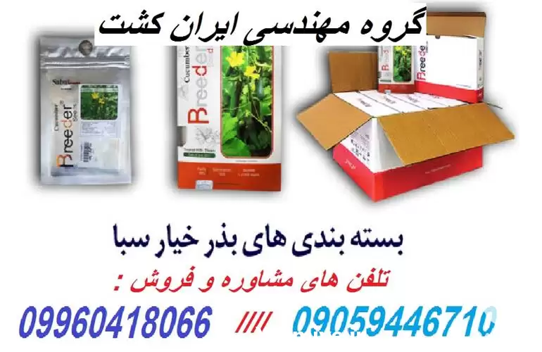 قیمت خرید بذر خیار گلخانه ای در گروه خرید و فروش بذر خیار در یکمیوه -عکس1