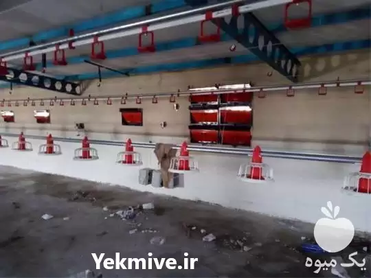 فروش دانخوری اتوماتیک در گروه تجهیزات مرغداری در یکمیوه -عکس1