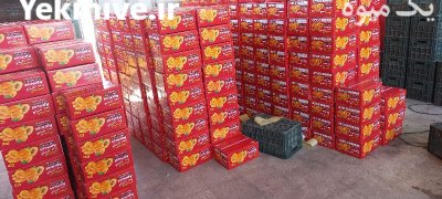 قیسی و برگه زردالو صادراتی تناژ در گروه خرید و فروش زردآلو در یکمیوه -عکس1