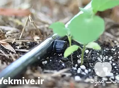 آبیاری هوشمند باغ در ساری در گروه خرید و فروش اتصالات و تجهیزات آبیاری در یکمیوه -عکس1