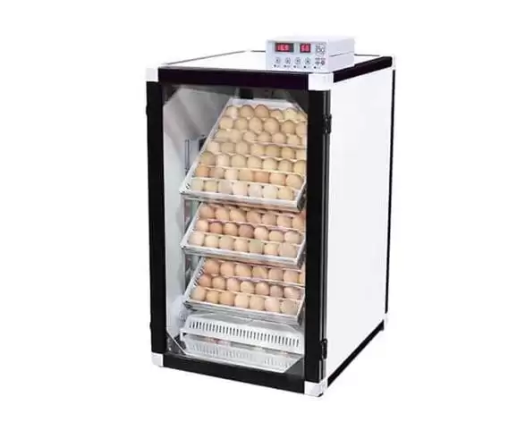 قیمت خرید دستگاه جوجه کشی شترمرغ در اصفهان در گروه تجهیزات مرغداری در یکمیوه -عکس1