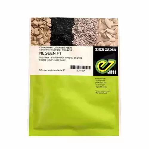 فروش بذر خیار نگین در مشهد در گروه خرید و فروش بذر خیار در یکمیوه -عکس1