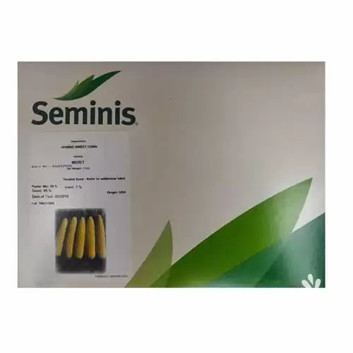 فروش بذر ذرت مریت سیمینس بذر در بیرجند در گروه خرید و فروش بذر ذرت در یکمیوه -عکس1