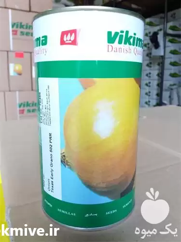 قیمت خرید بذر پیاز ویکیما بذر پیاز در یزد در گروه خرید و فروش بذر پیاز در یکمیوه -عکس1