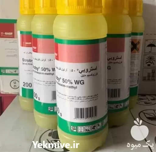 قیمت خرید قیمت سم استروبی باسف در زنجان در گروه خرید و فروش انواع سم در یکمیوه -عکس1