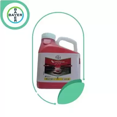 قیمت خرید سم قارچ کش Lamardor در اهواز در گروه خرید و فروش انواع سم در یکمیوه -عکس1
