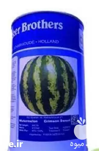 قیمت خرید بذر هندوانه پربار بیکر در کرج در گروه خرید و فروش بذر هندوانه در یکمیوه -عکس1