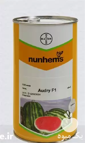 فروش قیمت بذر هندوانه اودری در کرج در گروه خرید و فروش بذر هندوانه در یکمیوه -عکس1