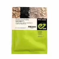 فروش بذر خیار نگین در مشهد در گروه خرید و فروش بذر خیار در یکمیوه