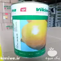 قیمت خرید بذر پیاز ویکیما بذر پیاز در یزد در گروه خرید و فروش بذر پیاز در یکمیوه