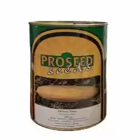 فروش بذر خربزه یاس پروسید محصول در کرج در گروه خرید و فروش بذر خربزه در یکمیوه