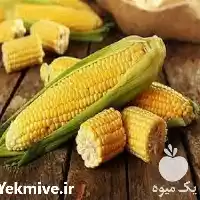 قیمت خرید بذر ذرت تارگت در کرج در گروه خرید و فروش بذر ذرت در یکمیوه