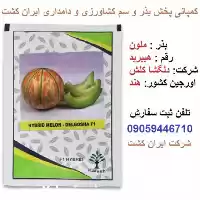 فروش بذر خربزه در گروه خرید و فروش بذر خربزه در یکمیوه
