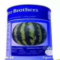 قیمت خرید بذر هندوانه پربار بیکر در کرج در گروه خرید و فروش بذر هندوانه در یکمیوه