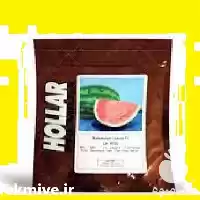 قیمت خرید بذر هندوانه هولار کرست در گروه خرید و فروش بذر هندوانه در یکمیوه