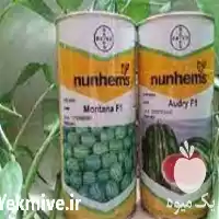 قیمت خرید بذر هندوانه مونتانا در گروه خرید و فروش بذر هندوانه در یکمیوه