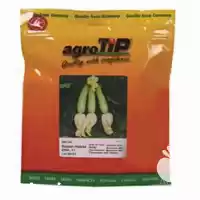 فروش بذر کدو ZINA F 1 در مشهد در گروه خرید و فروش بذر کدو در یکمیوه