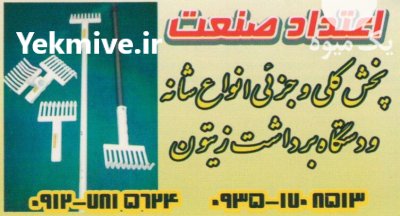 چنگک زیتونچین هسته گیر زیتون در پارس آباد در گروه خرید و فروش زیتون در یکمیوه -عکس2