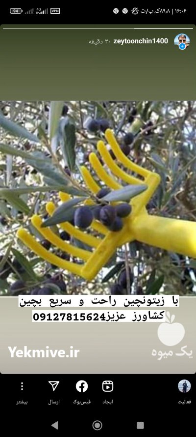 چنگک زیتونچین هسته گیر زیتون در پارس آباد در گروه خرید و فروش زیتون در یکمیوه -عکس3