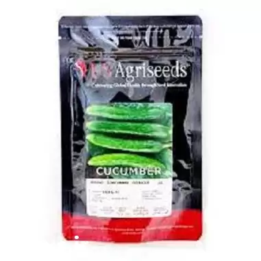 عرضه فروش بذر خیار فضای باز در گروه خرید و فروش بذر خیار در یکمیوه -عکس1