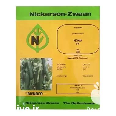 قیمت فروش بذر خیار کیهان نیکرسون در سنندج در گروه خرید و فروش بذر خیار در یکمیوه -عکس1